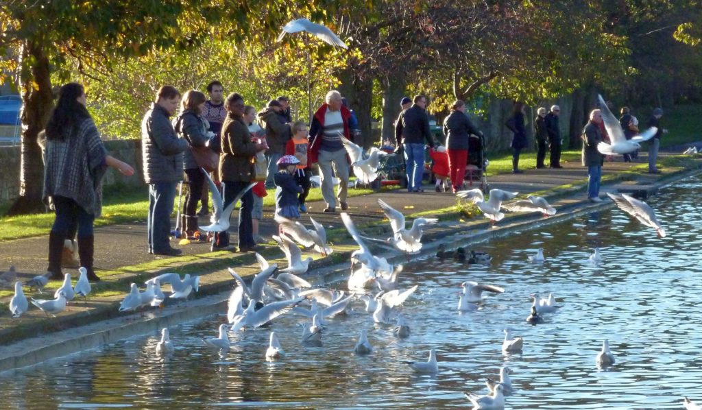 After using our Sheffield to Edinburgh removals service we recommend you visit not only the better known Edinburgh parks, but also ones like Inverleith Park - a surprising gem.